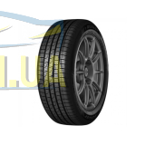 Купити DUNLOP SPORT ALL SEASON 175/70 R14 88T XL в інтернет-магазині mashyna.in.ua